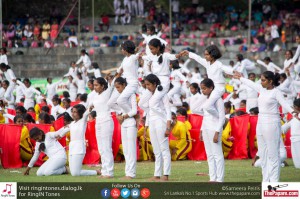 11116546_10154307825394251_3451730194596501271_o